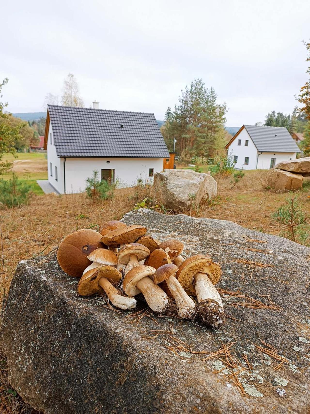 Klidna Lokalita Na Kraji Lesa, Cely Dum S Uschovnu Kol Villa Nova Bystrice Exterior photo